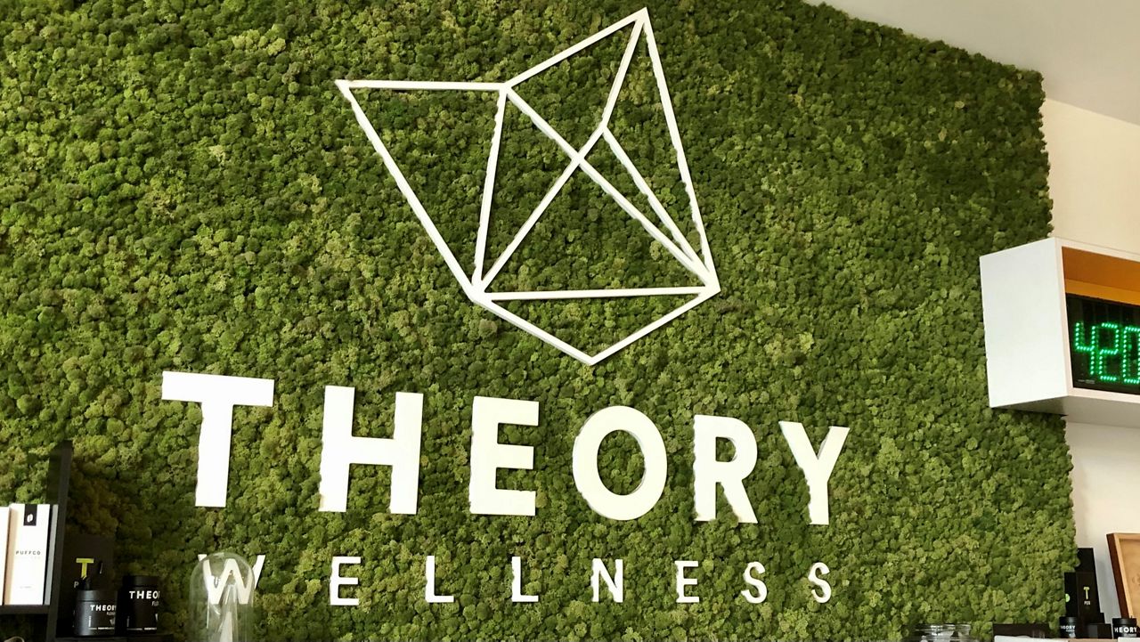 Theory Wellness: Releasing Your Ultimate Potential